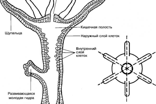 Магазины даркнет blacksprut adress com